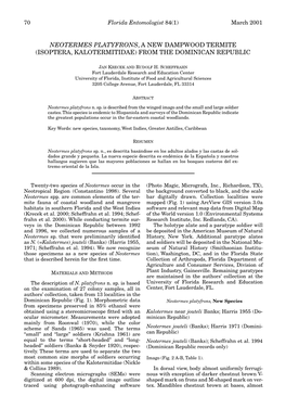 Neotermes Platyfrons, a New Dampwood Termite (Isoptera, Kalotermitidae) from the Dominican Republic