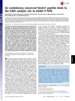 An Evolutionary Conserved Hexim1 Peptide Binds to the Cdk9 Catalytic Site to Inhibit P-Tefb