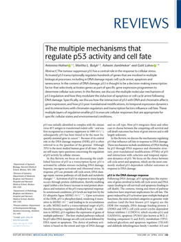 The Multiple Mechanisms That Regulate P53 Activity and Cell Fate