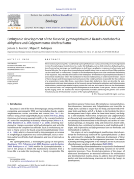 Embryonic Development of the Fossorial Gymnophthalmid Lizards Nothobachia