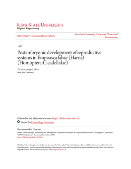 Postembryonic Development of Reproductive Systems in Empoasca Fabae (Harris) (Homoptera:Cicadellidae) Thomas Joseph Helms Iowa State University