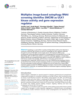 Multiplex Image-Based Autophagy Rnai Screening Identifies SMCR8