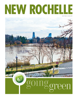 New Rochellenew York | 2008-2009