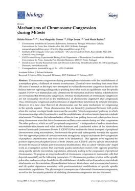 Mechanisms of Chromosome Congression During Mitosis