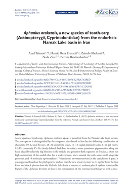 Aphanius Arakensis, a New Species of Tooth-Carp (Cyprinodontidae)