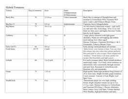 Hybrid Tomatoes