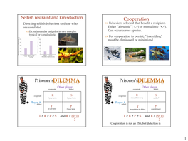 Cooperation Directing Selfish Behaviors to Those Who  Behaviors Selected That Benefit a Recipient