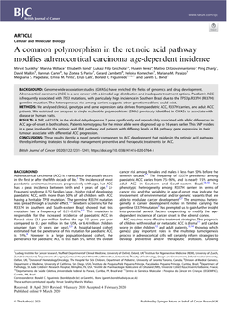 A Common Polymorphism in the Retinoic Acid Pathway Modifies