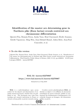 Identification of the Master Sex Determining Gene in Northern Pike (Esox Lucius) Reveals Restricted Sex Chromosome Differentiation