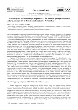 The Identity of Cancer Thunborgii Euphrasén, 1795, a Senior Synonym of Cronius Ruber (Lamarck, 1818) (Crustacea: Brachyura: Portunidae)