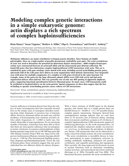 Modeling Complex Genetic Interactions in a Simple Eukaryotic Genome: Actin Displays a Rich Spectrum of Complex Haploinsufficiencies