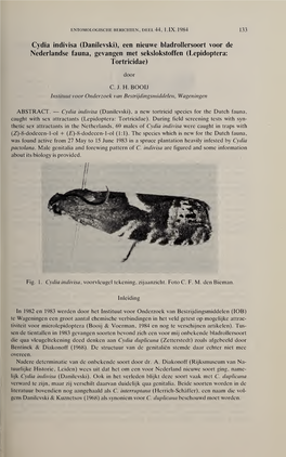 Cydia Indivisa (Danilevski), Een Nieuwe Bladrollersoort Voor De Nederlandse Fauna, Gevangen Met Sekslokstoffen (Lepidoptera: Tortricidae)