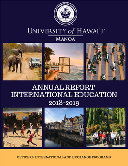 UHM International Education Annual Report 2018-2019