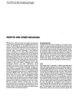 Insects and Other Hexapods