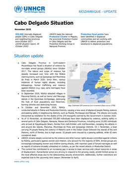 Cabo Delgado Situation