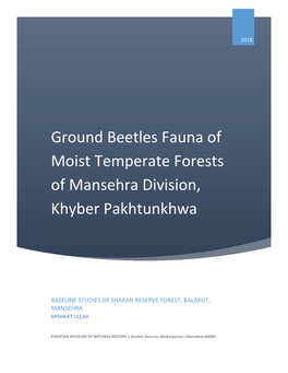 Ground Beetles Fauna of Moist Temperate Forests of Mansehra Division, Khyber Pakhtunkhwa
