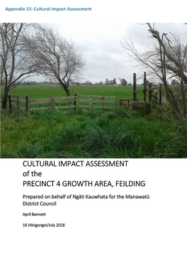 CULTURAL IMPACT ASSESSMENT of the PRECINCT 4 GROWTH AREA, FEILDING