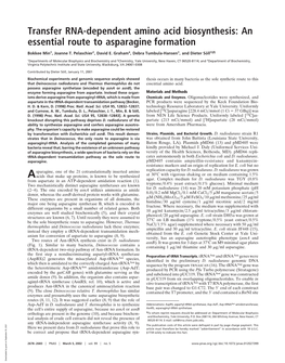 Transfer RNA-Dependent Amino Acid Biosynthesis: an Essential Route to Asparagine Formation