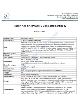 Rabbit Anti-SNRP70/FITC Conjugated Antibody