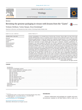 Revisiting the Genome Packaging in Viruses with Lessons from the “Giants”