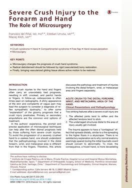 Severe Crush Injury to the Forearm and Hand the Role of Microsurgery