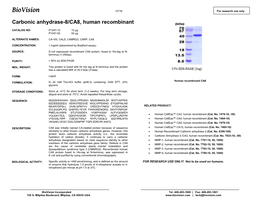 P1047-Carbonic Anhydrase-8/CA8, Human Recombinant