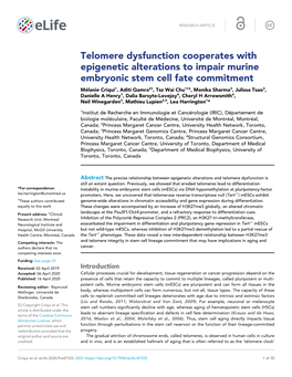 Telomere Dysfunction Cooperates with Epigenetic Alterations to Impair