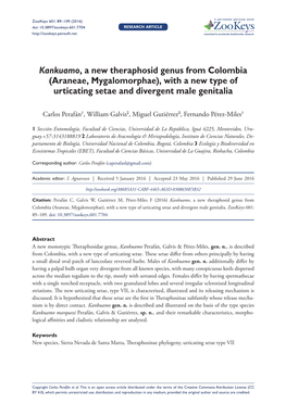 ﻿Kankuamo, a New Theraphosid Genus from Colombia (Araneae