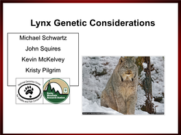 Lynx Genetic Considerations