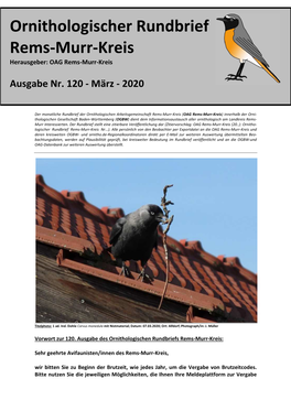 Ornithologischer Rundbrief Rems-Murr-Kreis