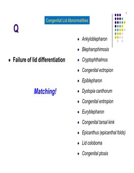 Congenital Lid Abnormalities Q  Ankyloblepharon