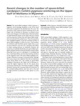 Recent Changes in the Number of Spoon-Billed Sandpipers Calidris Pygmaea Wintering on the Upper Gulf of Mottama in Myanmar