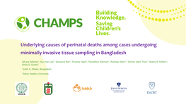 Underlying Causes of Perinatal Deaths Among Cases Undergoing Minimally Invasive Tissue Sampling in Bangladesh