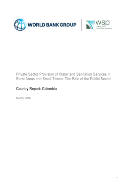 Private Sector Provision of Water and Sanitation Services in Rural Areas and Small Towns: the Role of the Public Sector