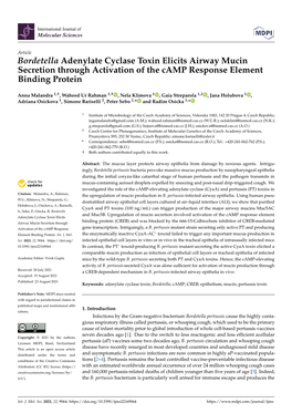 Bordetella Adenylate Cyclase Toxin Elicits Airway Mucin Secretion Through Activation of the Camp Response Element Binding Protein