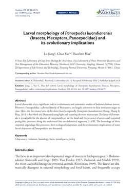 (Insecta, Mecoptera, Panorpodidae) and Its Evolutionary Implications