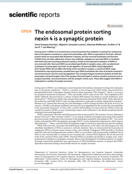 The Endosomal Protein Sorting Nexin 4 Is a Synaptic Protein Sonia Vazquez‑Sanchez1, Miguel A