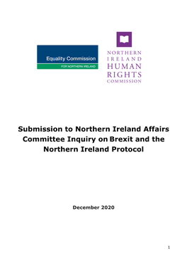 Brexit and the Northern Ireland Protocol.1