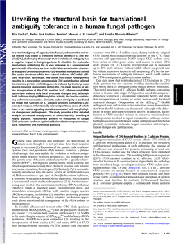 Unveiling the Structural Basis for Translational Ambiguity Tolerance in a Human Fungal Pathogen