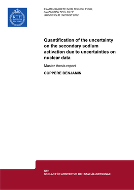 4. Results for the Quantification of the Uncertainty on the Secondary Sodium Activation