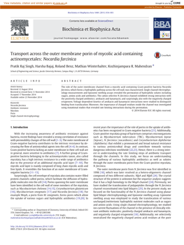 Transport Across the Outer Membrane Porin of Mycolic Acid Containing Actinomycetales: Nocardia Farcinica