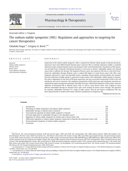 (NIS): Regulation and Approaches to Targeting for Cancer Therapeutics