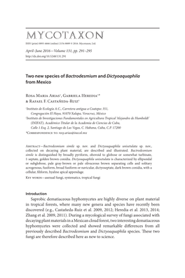 <I>Bactrodesmium</I> and <I>Dictyoaquaphila</I>