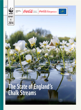 The State of England's Chalk Streams