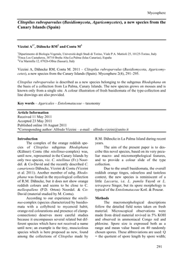 Clitopilus Rubroparvulus (Basidiomycota, Agaricomycetes), a New Species from the Canary Islands (Spain)