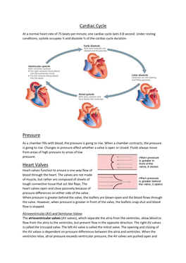 Cardiac Cycle Pressure Heart Valves