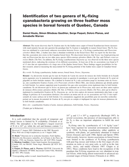 Fixing Cyanobacteria Growing on Three Feather Moss Species in Boreal Forests of Quebec, Canada