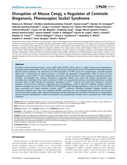 Disruption of Mouse Cenpj, a Regulator of Centriole Biogenesis, Phenocopies Seckel Syndrome