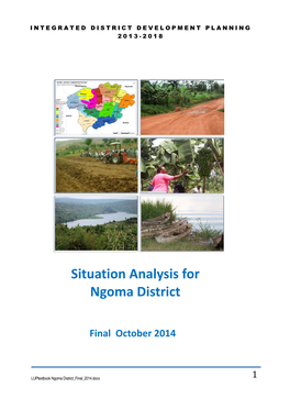 Situation Analysis for Ngoma District