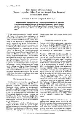 New Species of Crossodactylus (Anura: Leptodactylidae)From the Atlantic Rain Forest of Southeastern Brazil